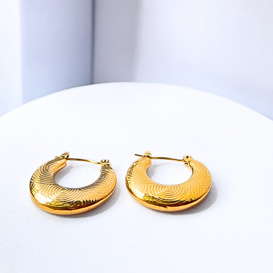 Design Hoops Earrings